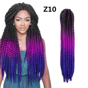 Spring Braid Wig 22 Inches (Option: Z10)