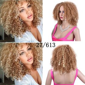 Synthetic Afro Curly Wig African Wigs For Black Women (Option: 27613.)